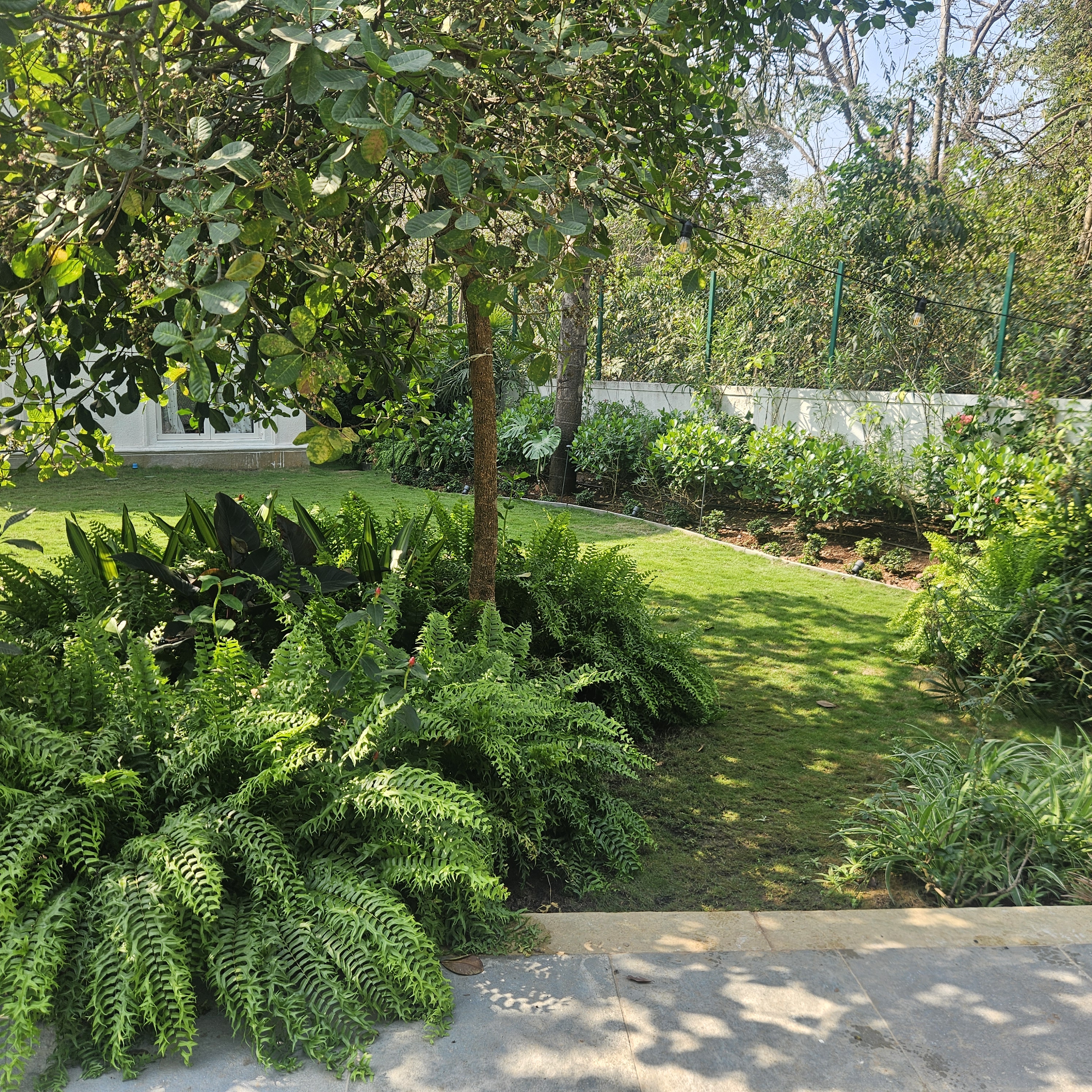 Tropical landscape design at Siolim Isprava villa with curated garden elements